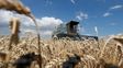 Mercados agrícolas: el Mar Negro suma tensión al trigo y Estados Unidos pone la lupa sobre maíz y soja