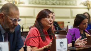 Celia Arena, presidenta del bloque Hacemos, señaló que en los próximos días presentarán su proyecto de reforma constitucional.&nbsp;