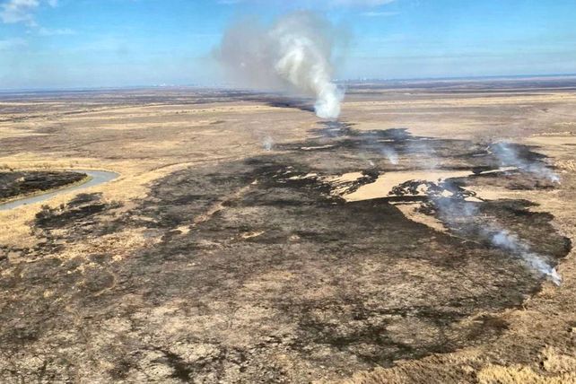Incendios en las islas del Delta: los daños ambientales son incalculables.&nbsp;