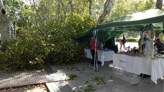 Una rama de gran porte se desplomó sobre uno de los puestos de la plaza San Martín.
