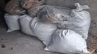 Secuestraron más de 800 metros de redes utilizados para la pesca ilegal.