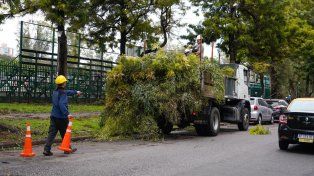 La tormenta generó casi una veintena de reclamos en Rosario, pero sin episodios graves