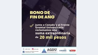 Docentes y no docentes universitarios reclaman bono de fin de año