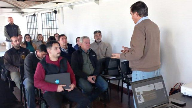 El Gobierno de Entre Ríos enfrenta la amenaza acecha a las palmeras.