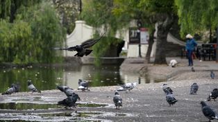 El frío da tregua en un domingo con una temperatura agradable