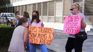 Ante Tribunales