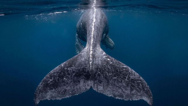 Las imágenes ganadoras del concurso de fotografía de viaje 2018 de National Geographic