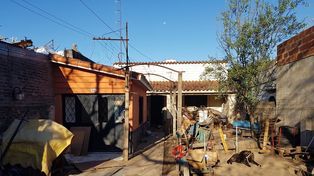 Piden colaboración para los perros desalojados de un refugio de la ciudad