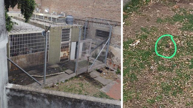 El patio de la comisaría de Rosario donde fue hallada la granada