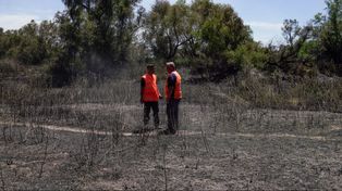 Sigue el fuego en la islas y los brigadistas trabajan incansablemente