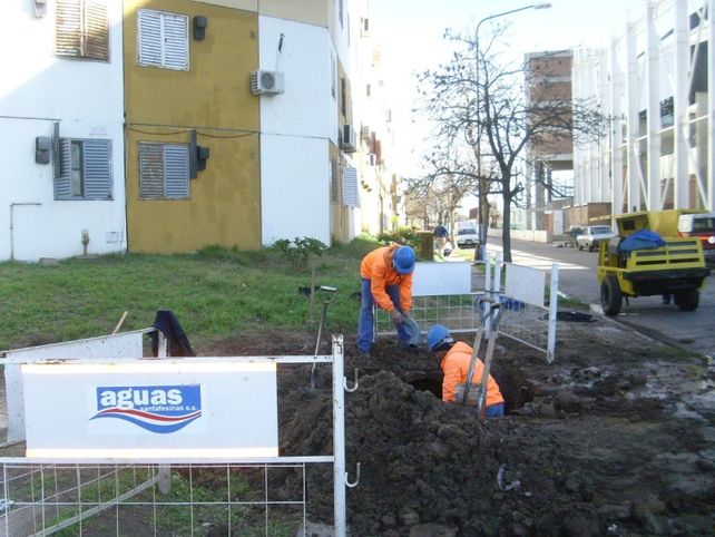 Imagen ilustrativa / Fuente: Web.