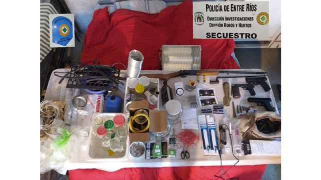 Hallaron 480 plantas de marihuana en un invernadero