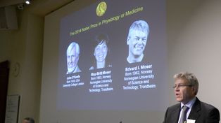 Nobel de Medicina para los que descubrieron el GPS de las células en el cerebro