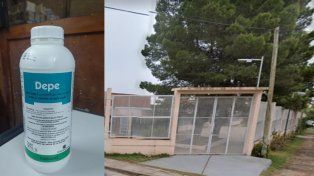 Como consecuencia de haber tomado contacto con un insecticida usado para combatir al mosquito vector del dengue, la salud de estudiantes y docentes de la Escuela N° 75 Del Bicentenario de Paraná se vio afectada.&nbsp;