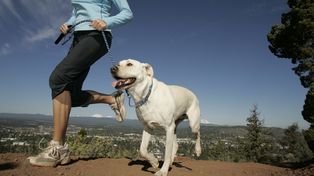 Tips para ejercitarte junto a tu perro