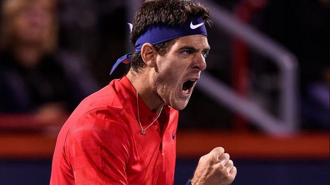 Del Potro busca avanzar en Cincinnati