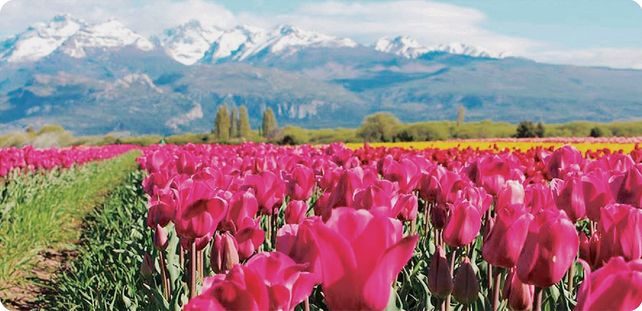 Trevelin: el mejor destino de la Patagonia para visitar en primavera