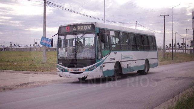 Se busca facilitar el traslado de los ciudadanos y ciudadanas en trenes y colectivos durante el balotaje&nbsp;