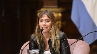 La senadora nacional Juliana Di Tullio cuestionó a la gestión de LLA.
