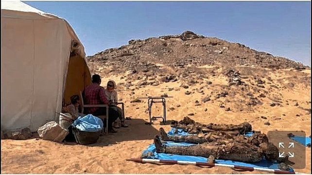 Hallaron en Egipto una necrópolis familiar con 30 momias