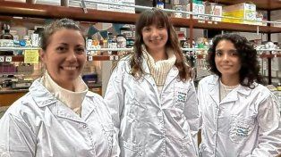 La científicas del Conicet que desarrollaron un apósito inteligente que ayudará a la cicatrización