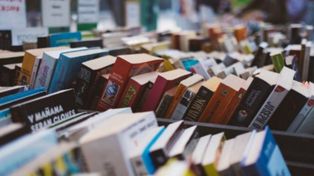 La Cámara Argentina del Libro denunció una caída del 30% en las ventas de las librerías de todo el país, producto de la retracción en la capacidad adquisitiva, la devaluación y el alto costo del papel. De no revertirse la situación, el sector corre un serio riesgo.