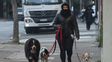 El invierno no se quiere ir: se viene un nuevo descenso de las temperaturas