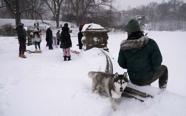 Imágenes de la histórica nevada en Nueva York