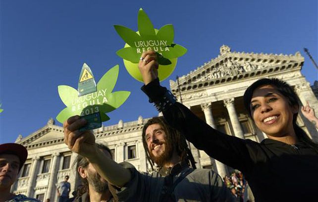 Uruguay se convirtió en diciembre en el primer país en  controlar el mercado del cannabis y sus derivados.