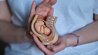 Cirugía fetal: Los cuidados comienzan desde la panza