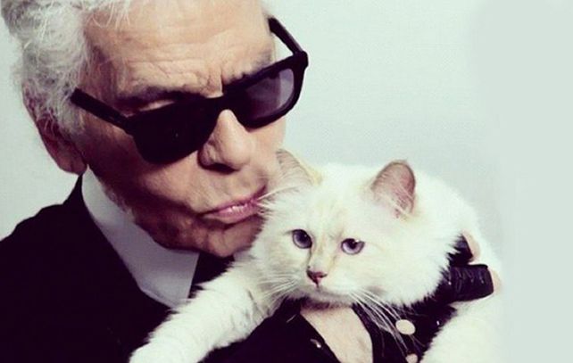La gata del diseñador Karl Lagerfeld gana tres millones de euros al año