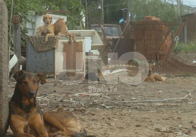 Foto: M. Testi / D. UNO