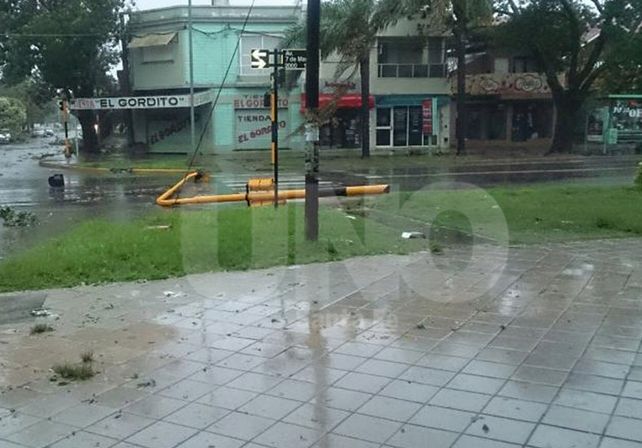 Un semáforo se cayó en Avenida 7 de Marzo y calle Centenario