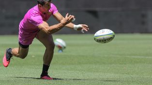 El medio scrum ser&aacute; baja en la franquicia nacional durante varios partidos.