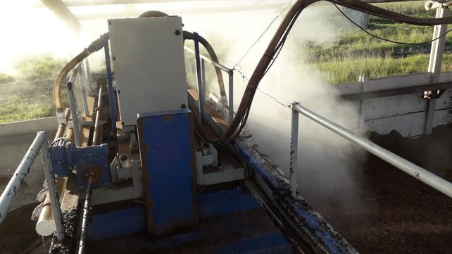 Orgullo santafesino: transforman efluentes de cerdo en compost y ganaron un premio internacional