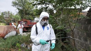 Chikungunya: confirman un caso con antecedente de viaje a Paraguay