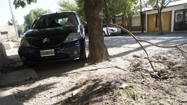 El joven de 17 años se parapetó detrás de un árbol
