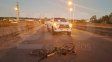 Ruta 38: un ciclista quedó en estado grave tras ser embestido por una camioneta