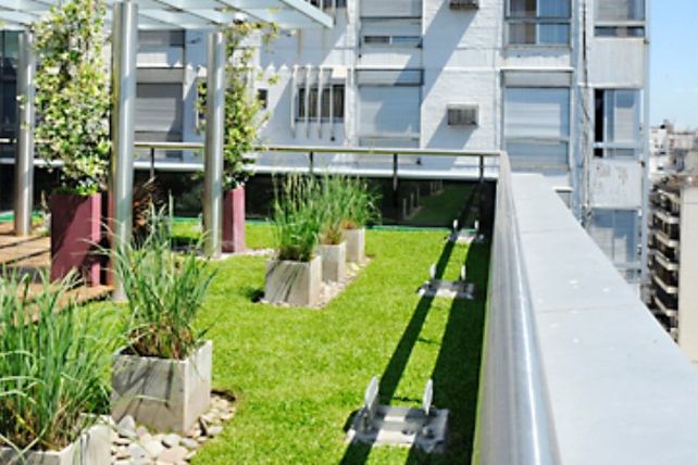 Fomentarán la implementación de “Terrazas verdes o ecológicas” en los edificios