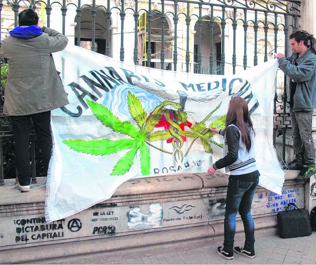 Diversas entidades vienen militando por el uso medicinal del cannabis&nbsp;