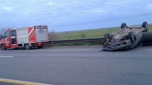 Chocaron un ternero muerto en plena ruta 14