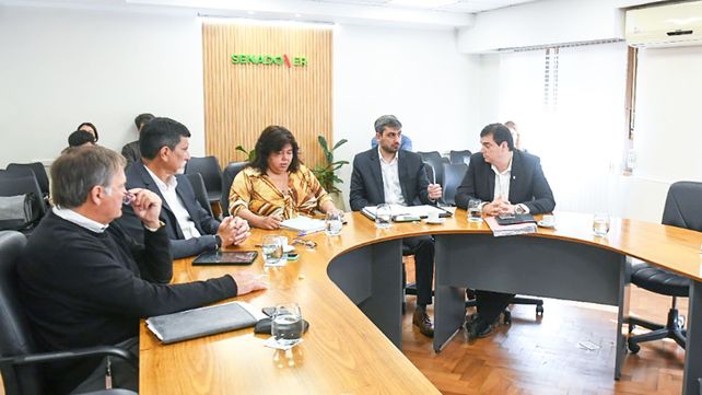 El proyecto de ley modifica artículos de La Ley 10.746