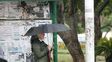 SMN: Prevén calor y lluvias durante todo el viernes SMN: Prevén calor y lluvias durante todo el viernes