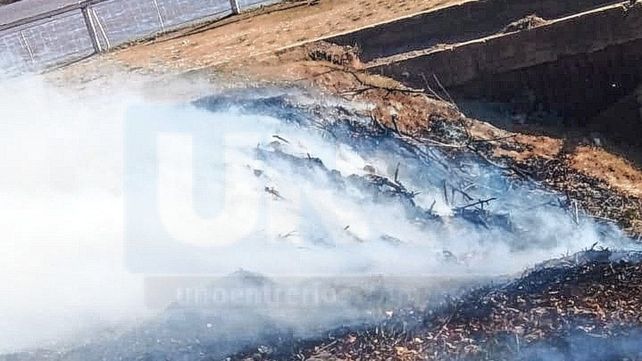 La altura del río Paraná no ayuda a los nuevos incendios en las islas&nbsp;