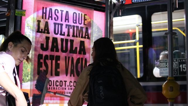 Invisibles: la crueldad animal en una película con sello regional