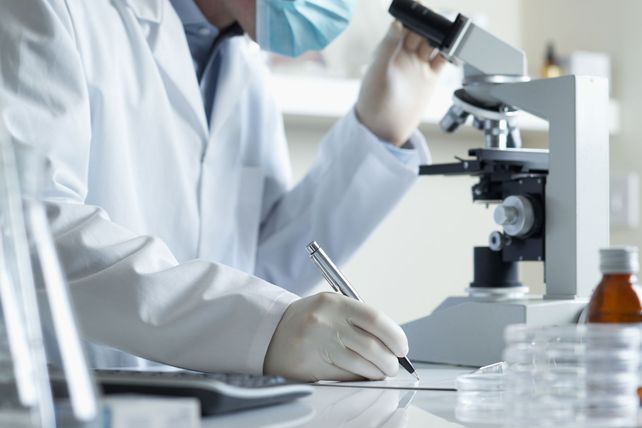 Científicos argentinos prueban que las bacterias buenas prolongan la vida