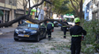 Taxista resultó herido al caer un árbol sobre su auto en pleno centro de Rosario