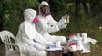 El brote de hantavirus llegó a España y Reino Unido