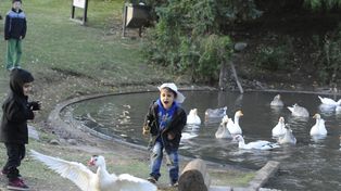 Este sábado habrá programación en la Granja de la Infancia