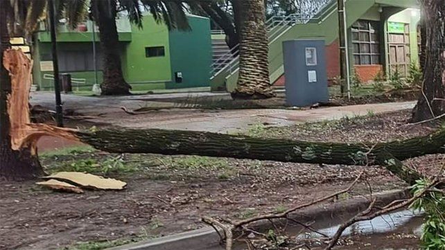 Una de las zonas más afectadas por el temporal es la plaza central de Cerrito. Por la caída de árboles el tránsito se vio interrumpido en algunos sectores